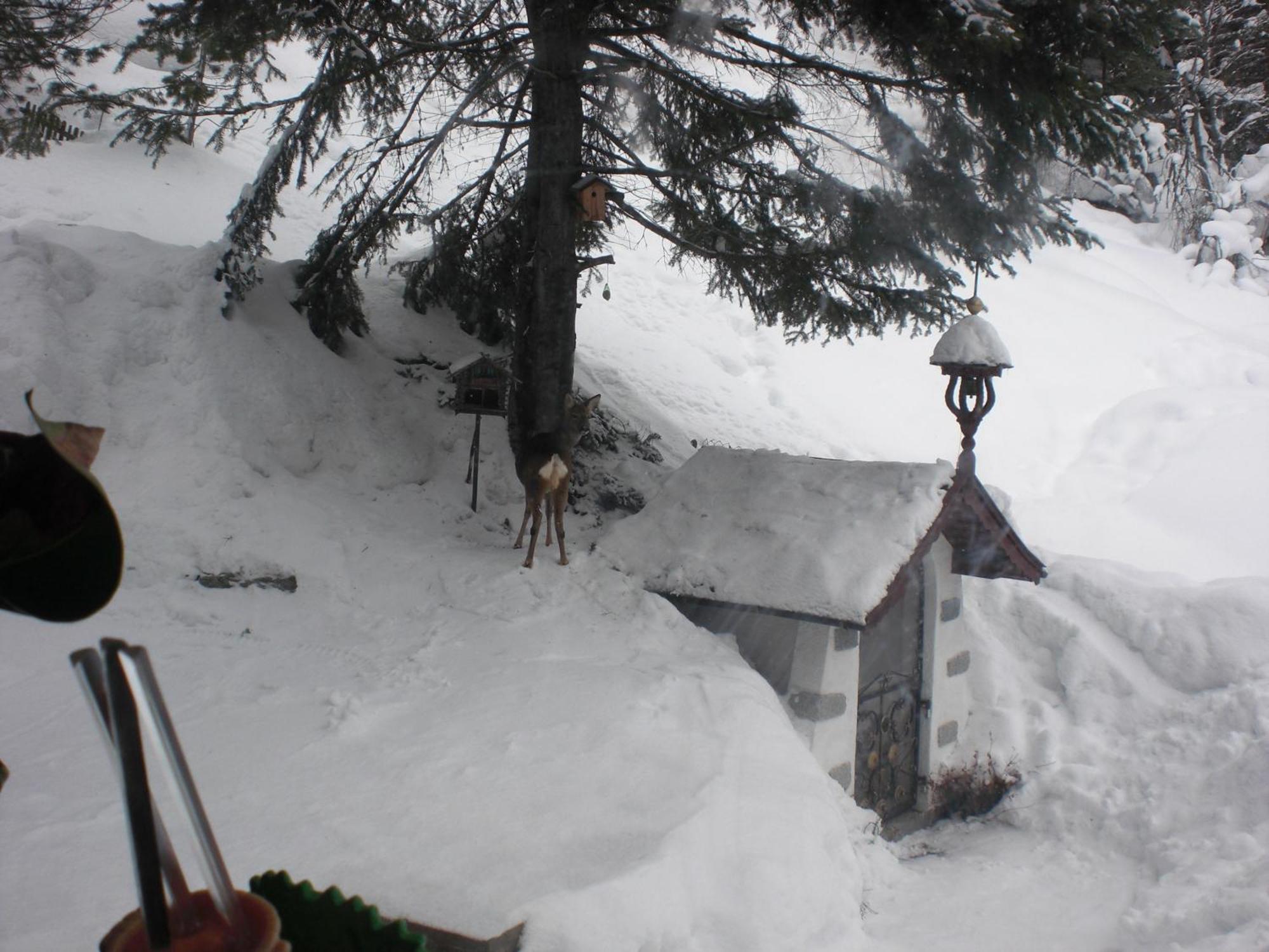 Haus Waldheim Hotel Sankt Leonhard im Pitztal Luaran gambar