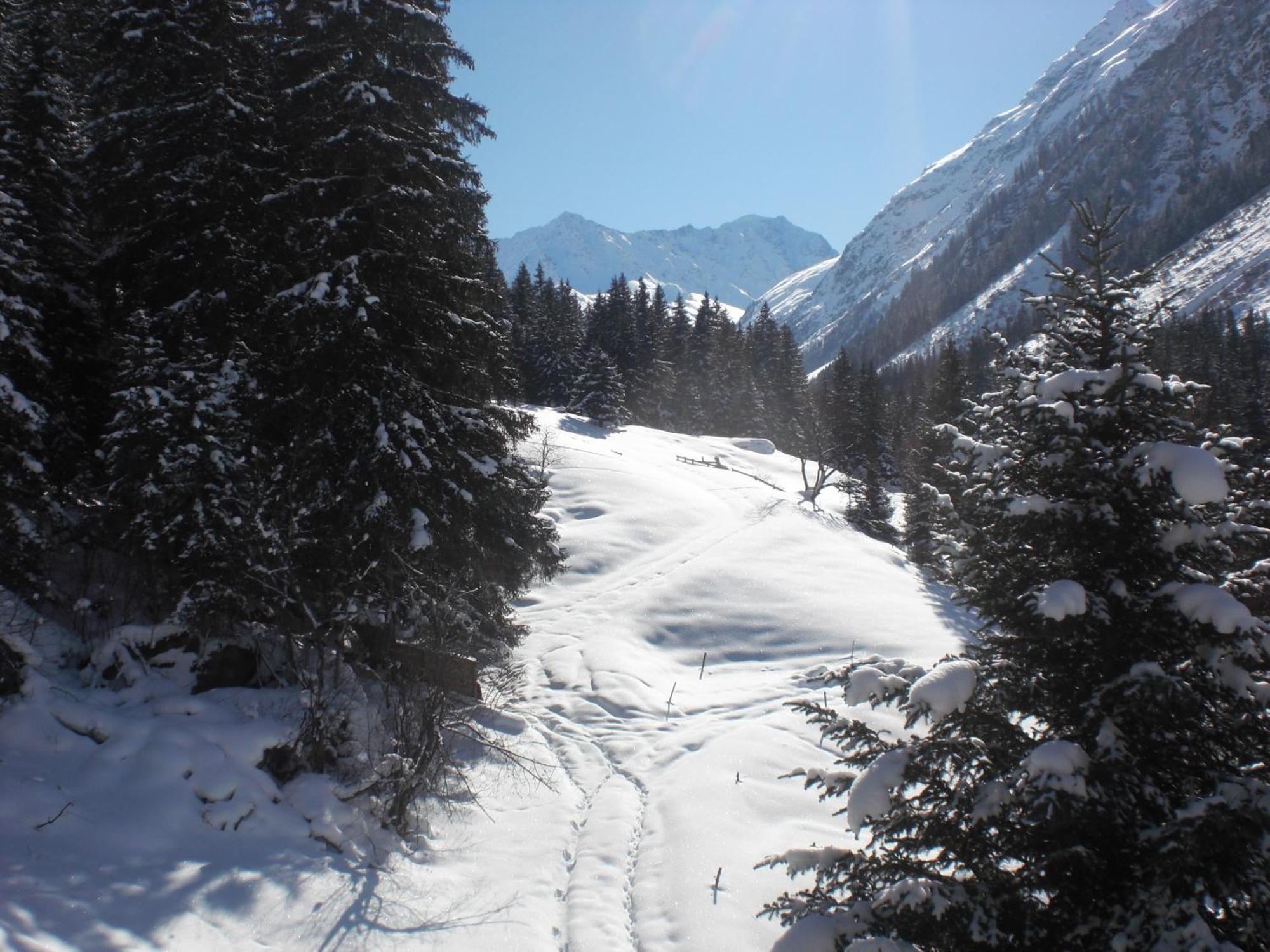Haus Waldheim Hotel Sankt Leonhard im Pitztal Luaran gambar